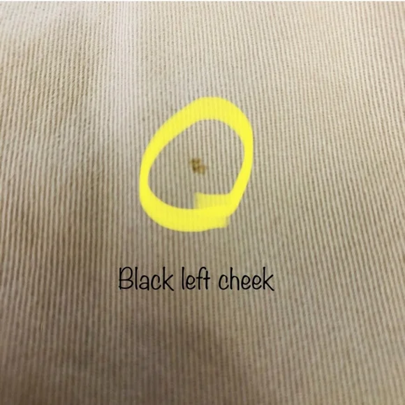 Paul Harris Design Cropped Tan Khaki Chino Style Pants Women Size 10 - Picture 5 of 7